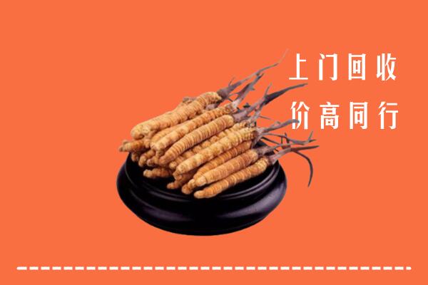 高价求购：敦化市回收散虫草