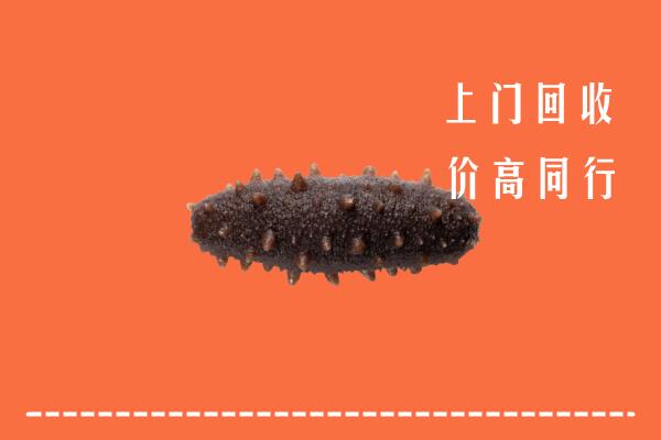 高价求购：敦化市回收海参